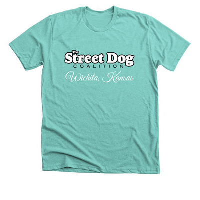 SDC Wichita, a Heather Sea Green Premium Unisex Tee