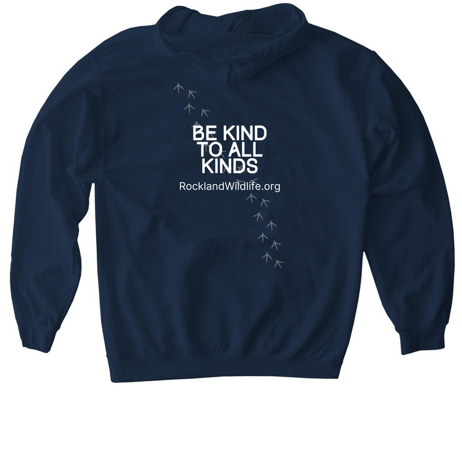 Be Kind to All Kinds, a Navy Gildan Softstyle Pullover Hoodie (back-view)