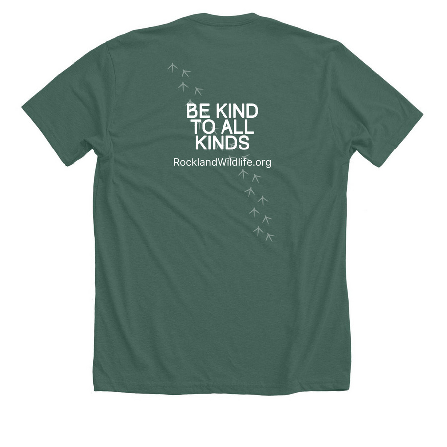 Be Kind to All Kinds, a Heather Forest Premium Unisex Tee (back-view)