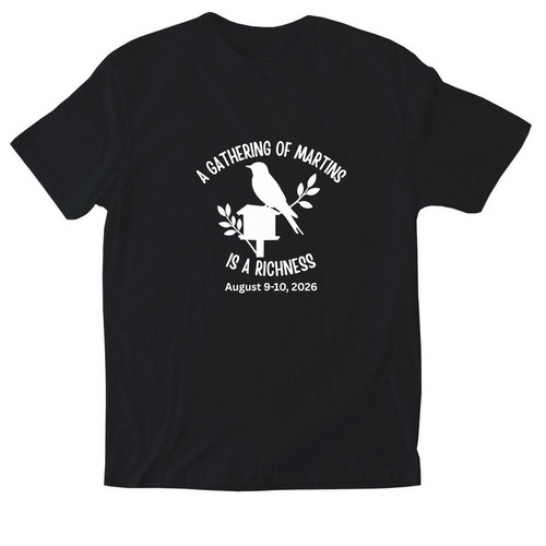 Richness Shirts, a Black Softstyle Cotton Tee