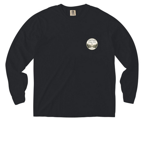 Rooted in Faith Circle x2&nbsp;, a Black Comfort Colors Long Sleeve Pocket Tee