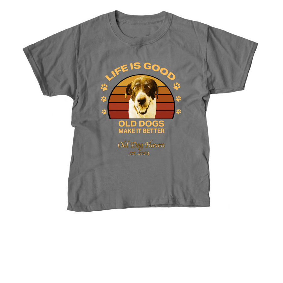Life is GOOD, a Charcoal Youth Unisex Tee