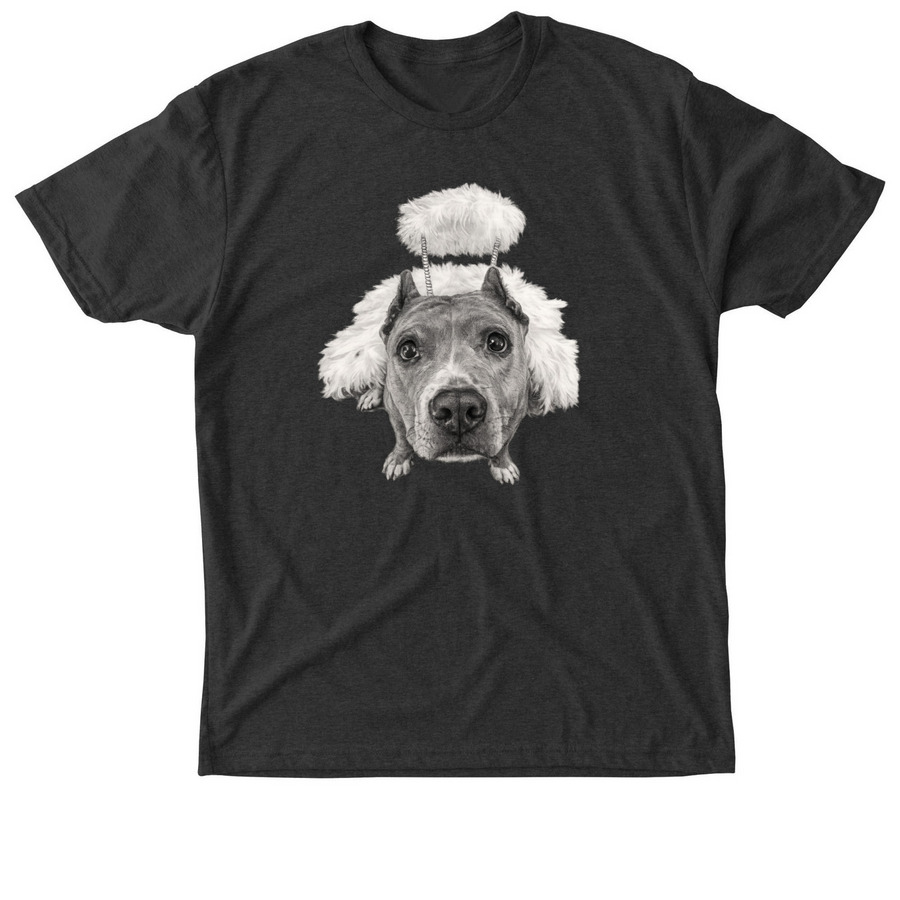 Spay & Neuter Angel Day 2026, a Vintage Black Triblend Unisex Tee