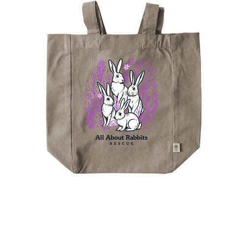 Shop in Style!, a Pumice Recycled Cotton Tote Bag