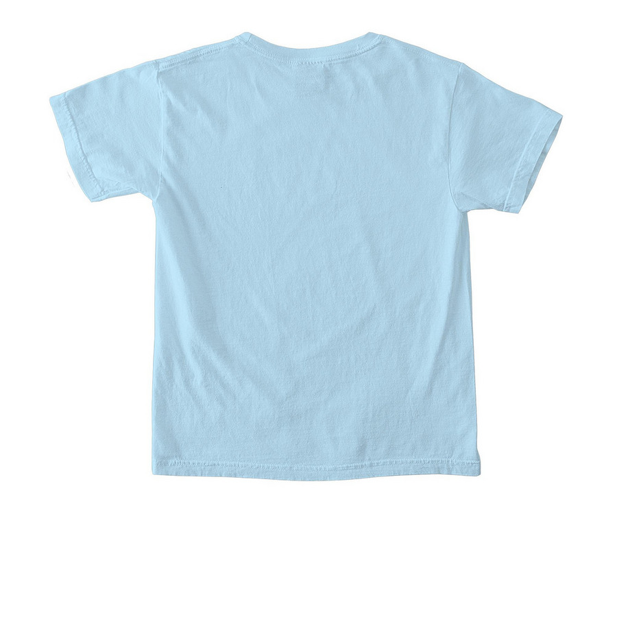 New NCO Spring Merch, a Chambray Comfort Colors Youth Tee (back-view)