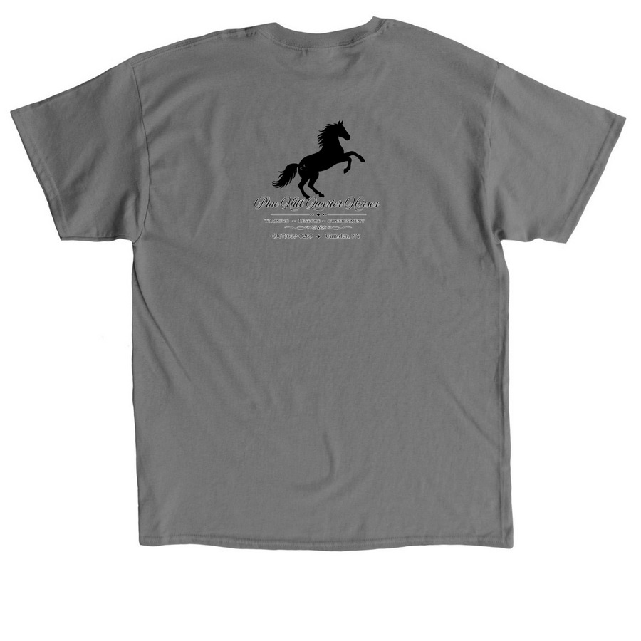 Apparel Order, a Charcoal Classic Unisex Tee (back-view)