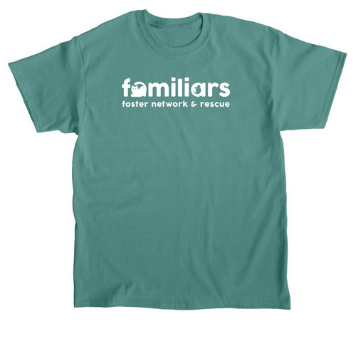 FFNR White Logo, a Jade Dome Classic Unisex Tee