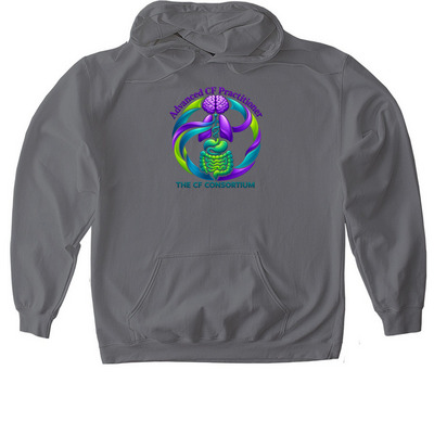advanced practice hoodie, a Charcoal Gildan Softstyle Pullover Hoodie