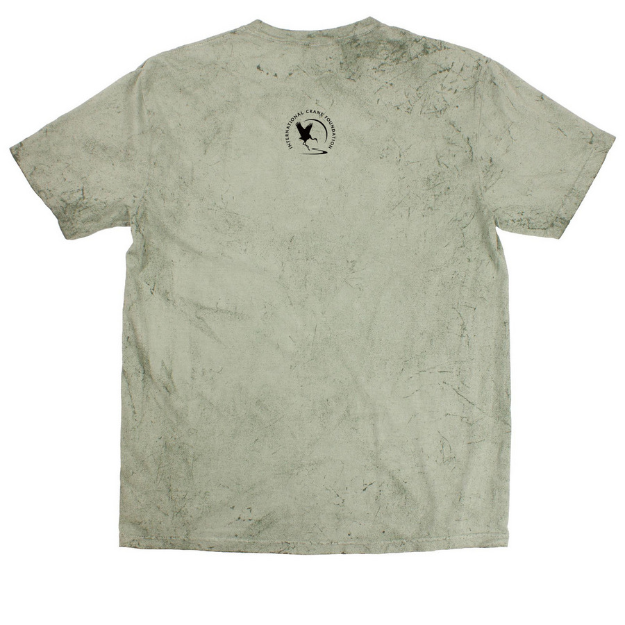I GIVE A WHOOP TIE DYE, a Fern Comfort Colors Colorblast Tee (back-view)