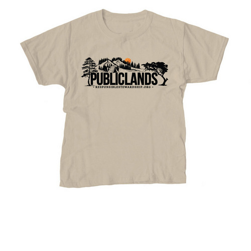 2025 Edition Public Tees, a Sand Youth Unisex Tee