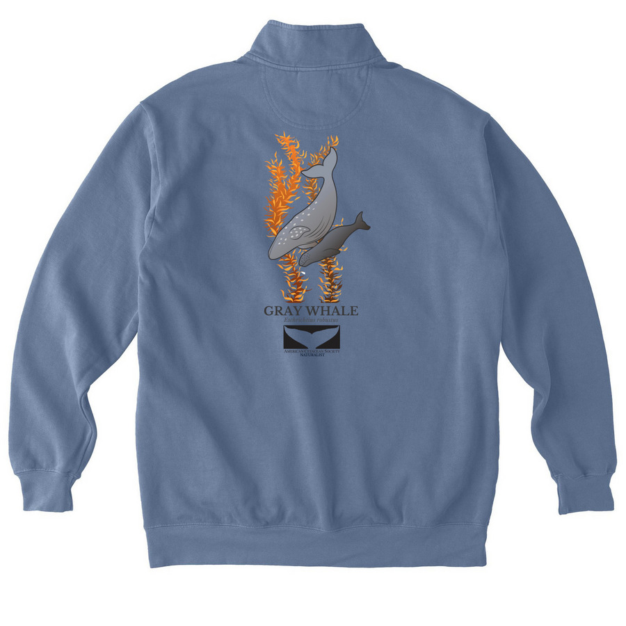 NATURALIST Classic Pocket & Kelp Back Logo, a Blue Jean Comfort Colors Quarter Zip Pullover (back-view)