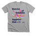 DC Metro Pride 2026, a Athletic Heather Premium Unisex Tee