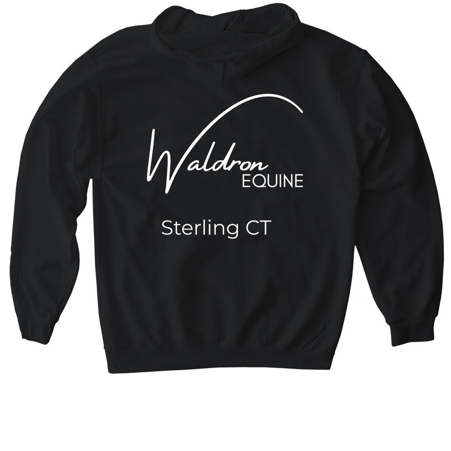 Barn Sweatshirt&nbsp;, a Black Gildan Softstyle Pullover Hoodie (back-view)