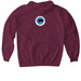 Periodic Table Shirt, a Maroon Gildan Softstyle Pullover Hoodie (back-view)