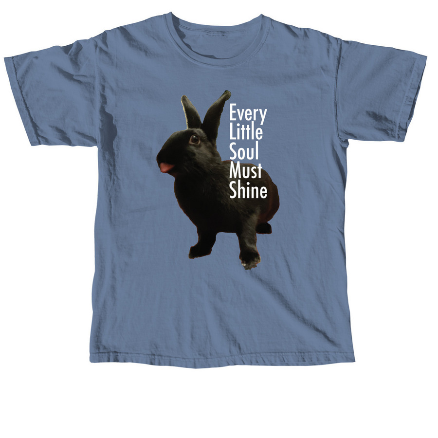 every little soul must shine, a Blue Jean Comfort Colors Unisex Tee