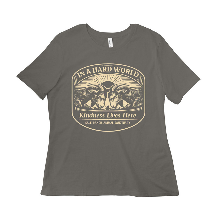 In A Hard World, Kindness Lives Here, a Asphalt Women?s Relaxed Cotton Tee