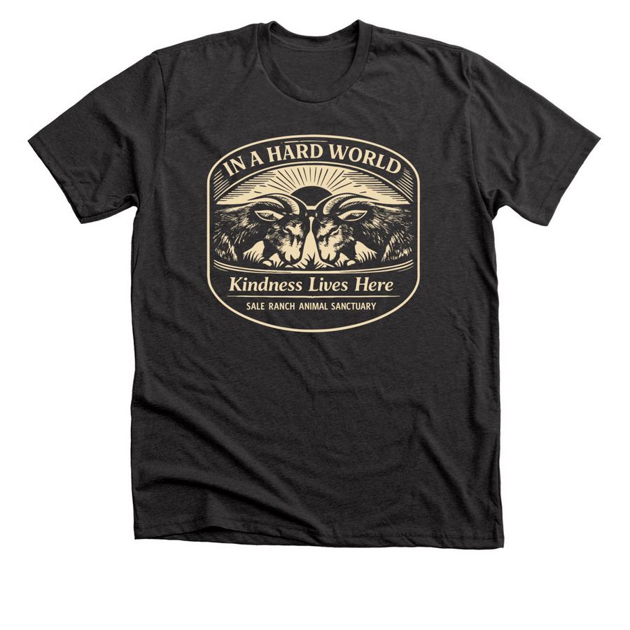In A Hard World, Kindness Lives Here, a Dark Grey Heather Premium Unisex Tee