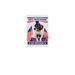 America?s Goodest Boy for President, a White 12" x 18" Yard Flag