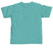 Adult Sized Seele Stars Support Swag, a Seafoam Comfort Colors Unisex Tee (back-view)