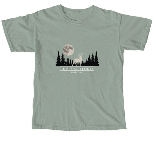 THERE IS NO PLANTE B, a Bay Comfort Colors Unisex Tee