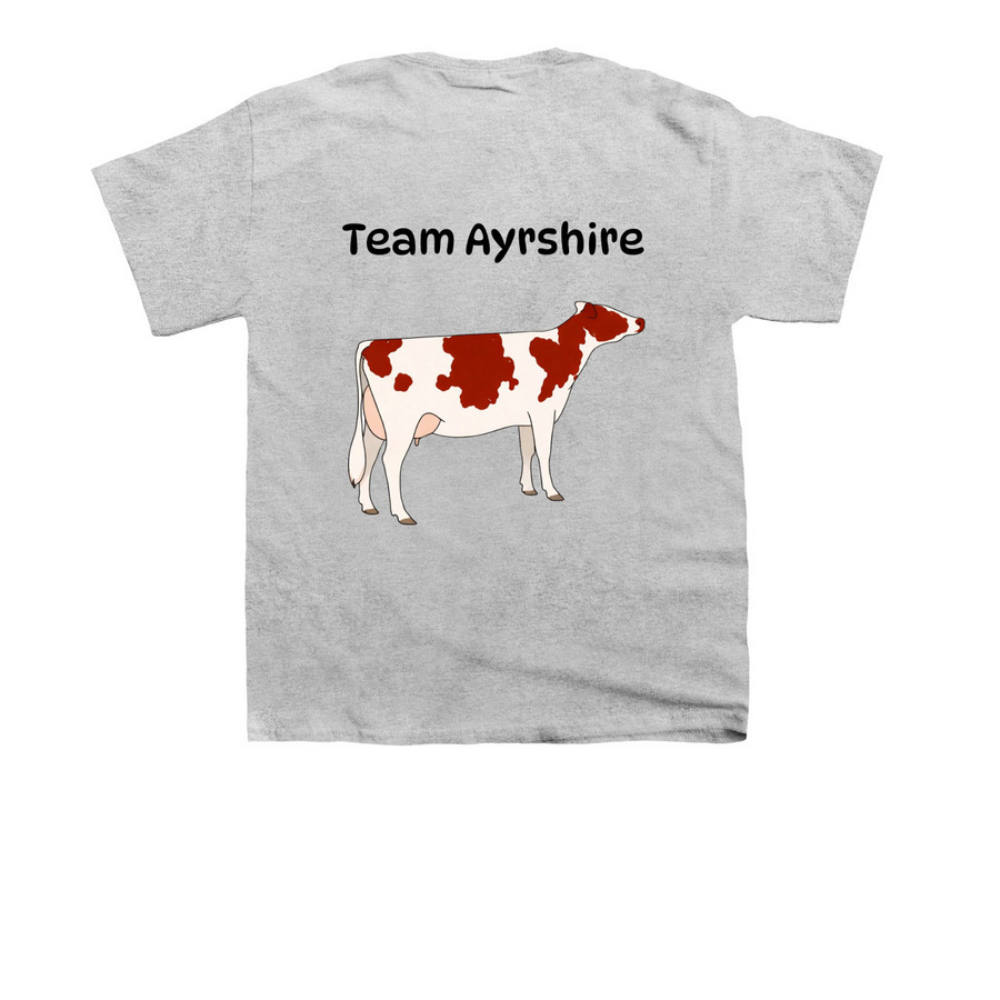 NEABSS Team Ayrshire Shirt, a Sport Grey Youth Unisex Tee (back-view)
