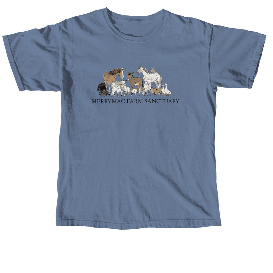 Adult T Shirt - Sanctuary Family, a Blue Jean Comfort Colors Unisex Tee