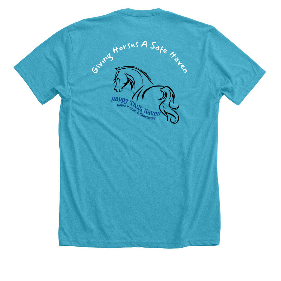 Mission Statement, a Heather Aqua Premium Unisex Tee (back-view)