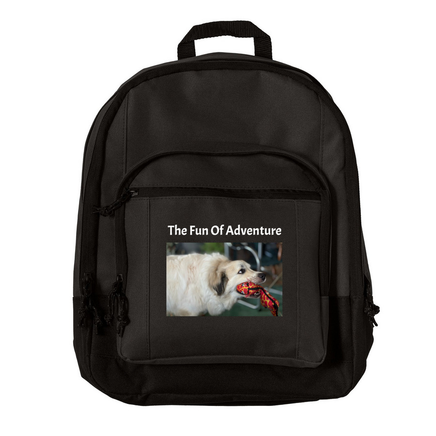 Floof backpack, a Black Everyday Backpack