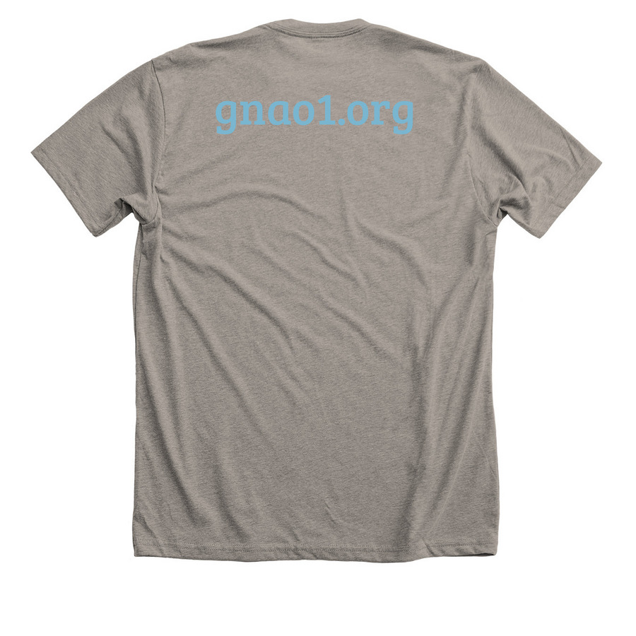 GNAO1 Awareness Unity, a Heather Stone Premium Unisex Tee (back-view)
