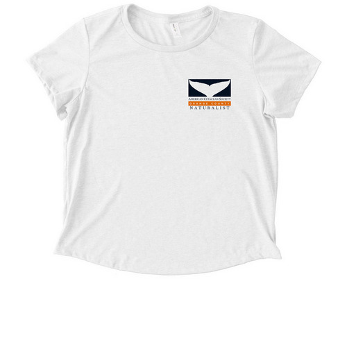 NATURALIST Classic Pocket & Kelp Back Logo, a Fairly White Allmade Eco Triblend Women?s Scoop Neck Tee