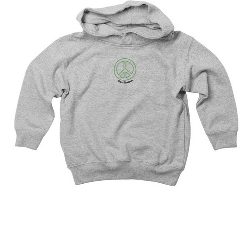 Gan Shalom Hoodie, a Heather Toddler Pullover Hoodie