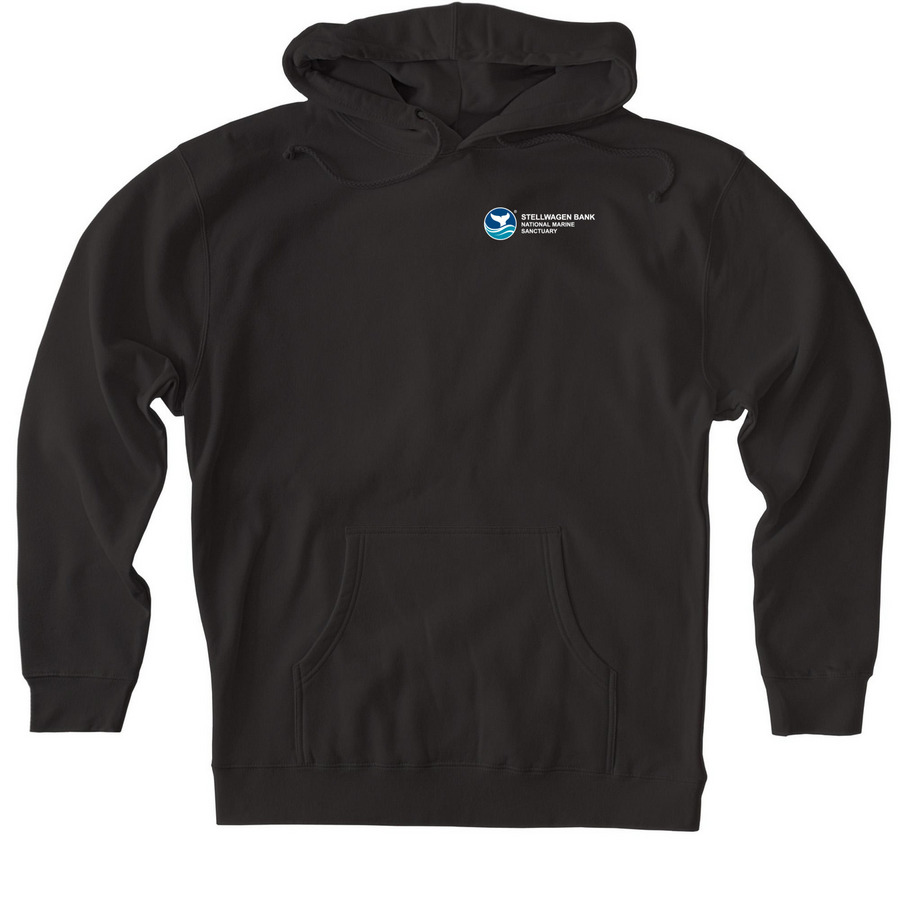 Whale Tagging, a Black Heavyweight Pullover Hoodie