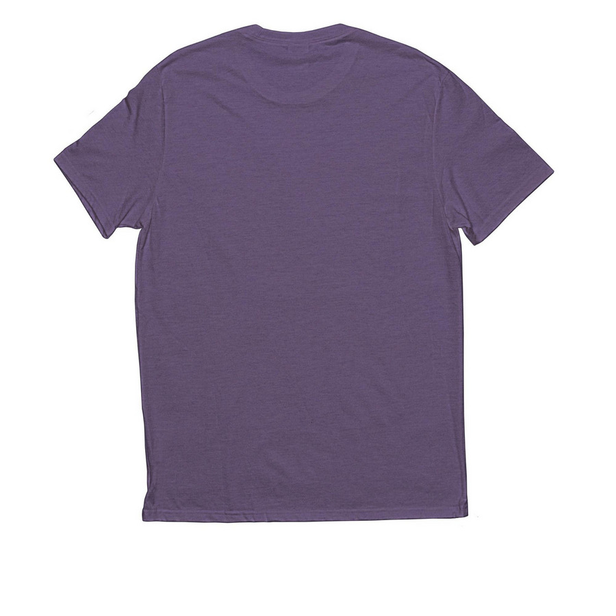 BSA Logo Shirts, a Huckleberry Allmade Eco Triblend Unisex Tee (back-view)