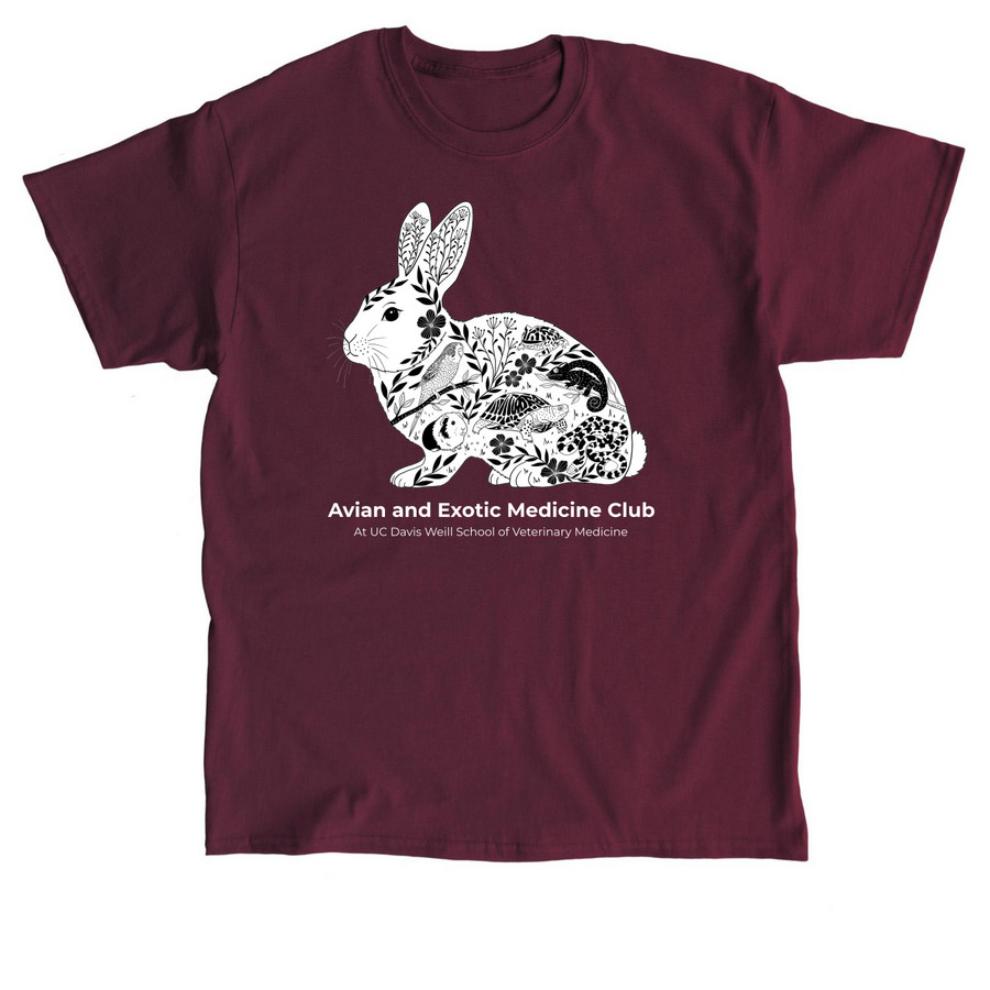 AEMC Merch, a Maroon Classic Unisex Tee
