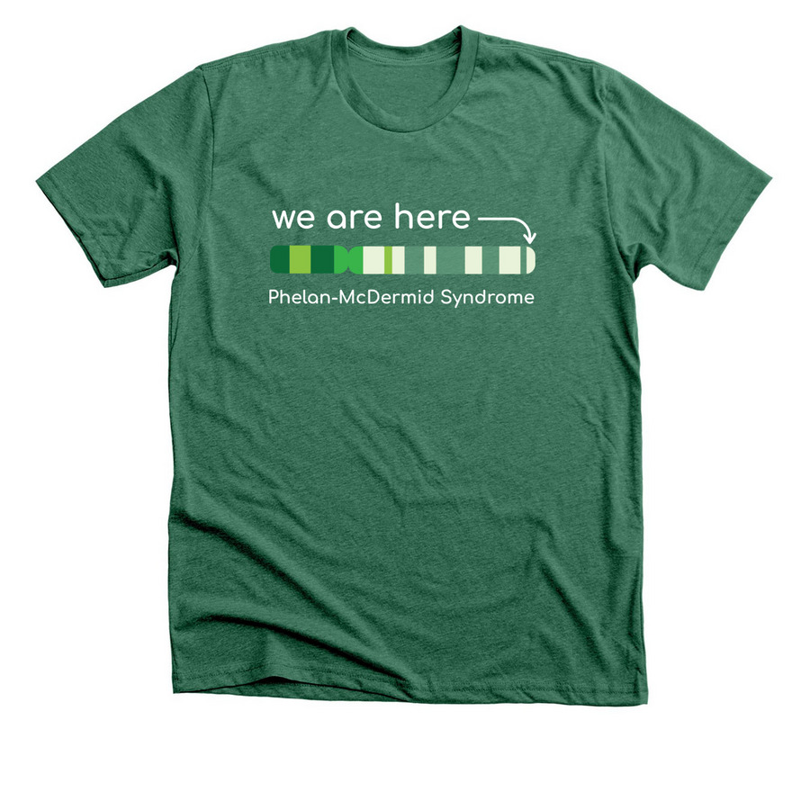 We Are Here (dark colors), a Heather Grass Green Premium Unisex Tee