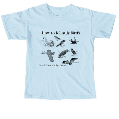 how to ID birds, a Chambray Comfort Colors Unisex Tee