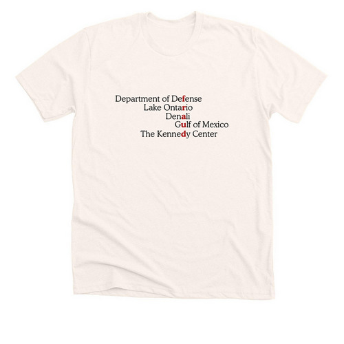 Lake Ontario ?, a Heather Natural Premium Unisex Tee