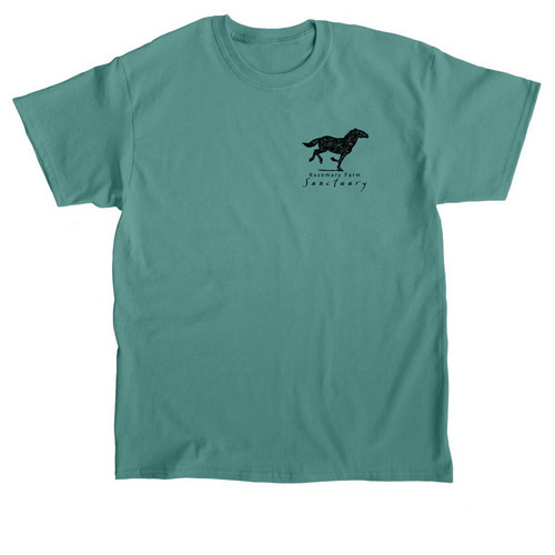 The RF logo tee!, a Jade Dome Classic Unisex Tee