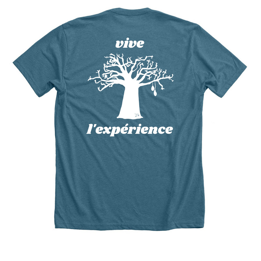 Vive Senegal 2026 (wh), a Heather Deep Teal Premium Unisex Tee (back-view)