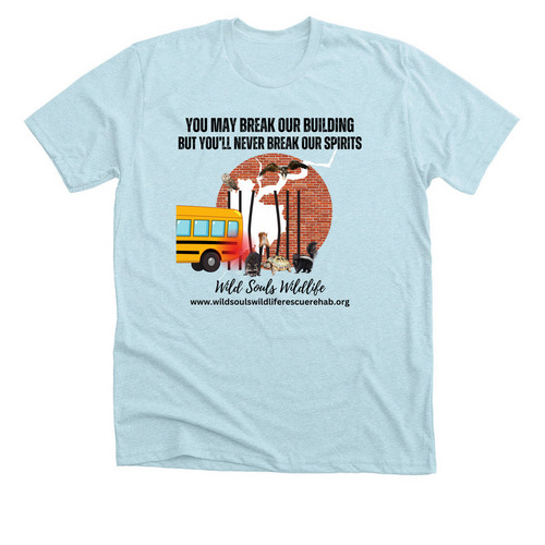 2024 Never Break Spirits, a Heather Ice Blue Premium Unisex Tee