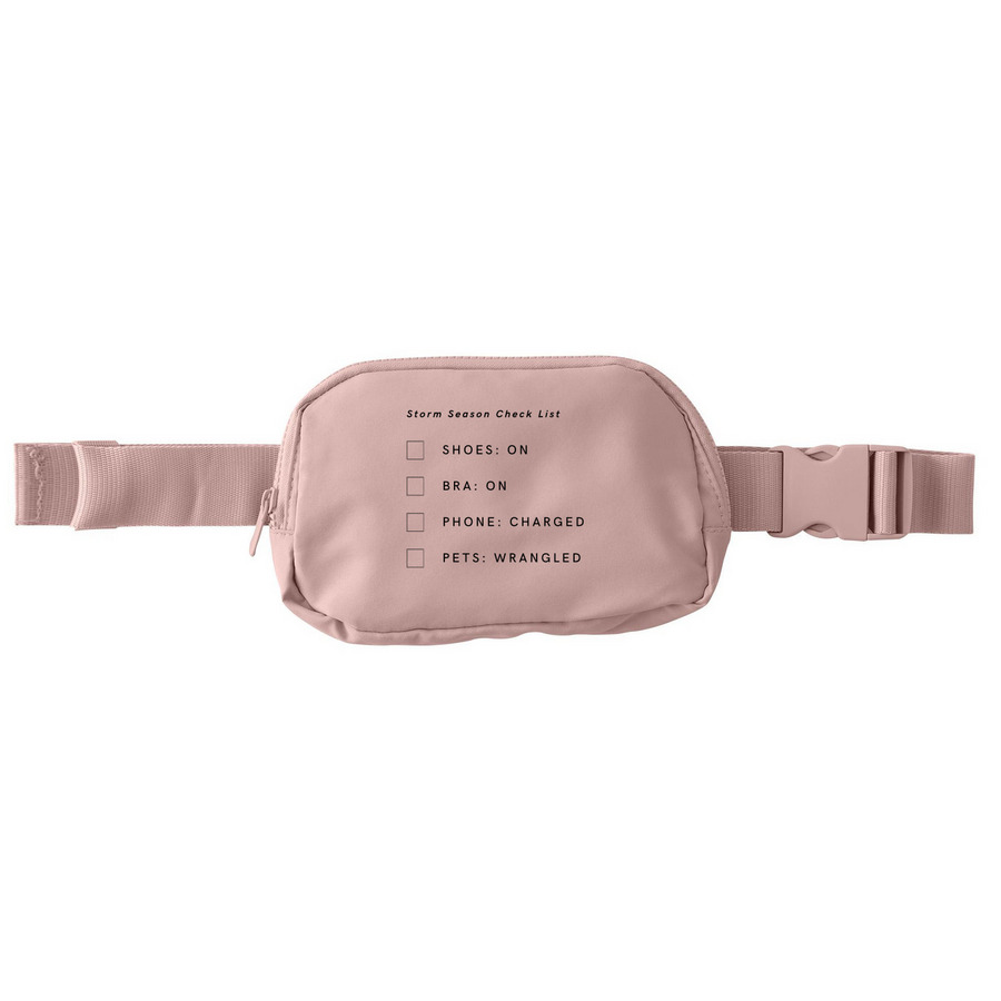 Storm Checklist, a Rose Quartz Matte Hip Pack