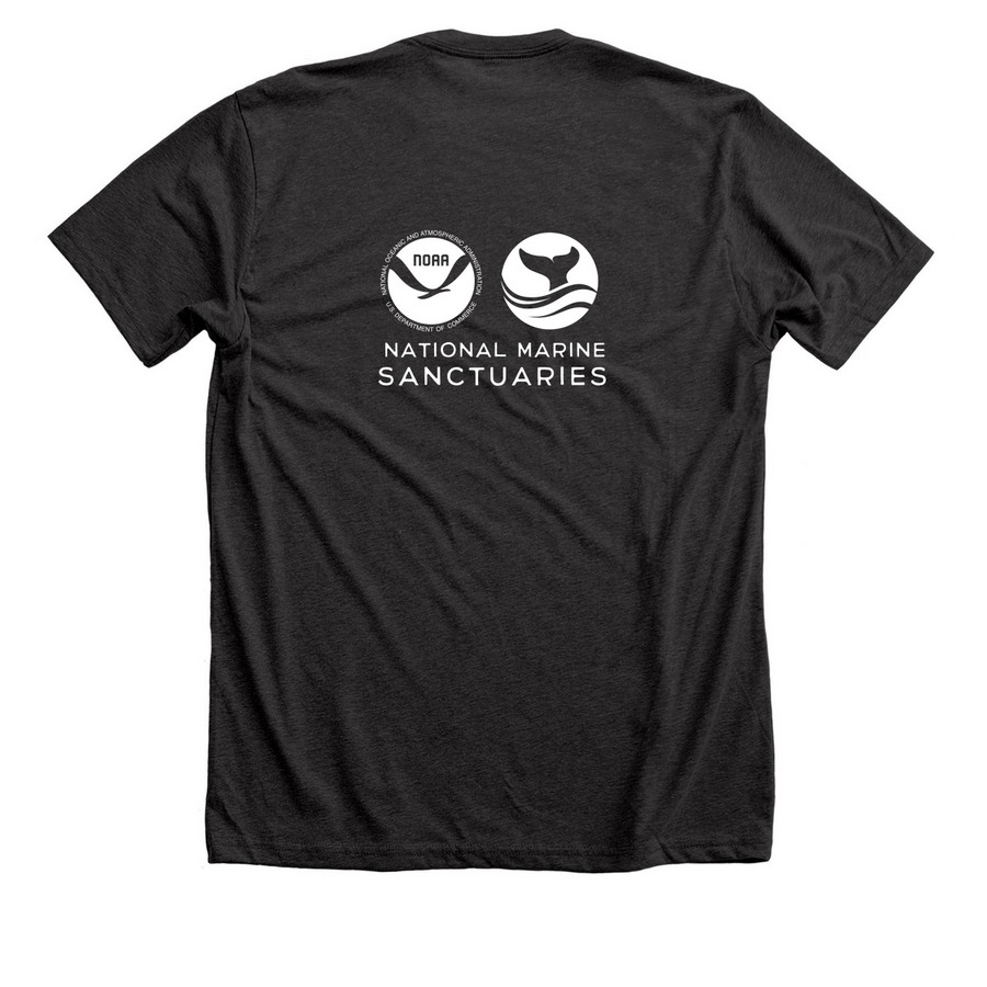 Eco-Friendly Shirts, a Dark Grey Heather Premium Unisex Tee (back-view)