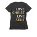 Vertical FBC Logo, a Charcoal Women's Slim Fit Tee (back-view)