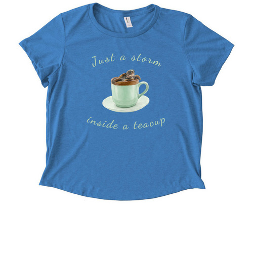 Help support the baby turtles!, a Azure Blue Allmade Eco Triblend Women?s Scoop Neck Tee