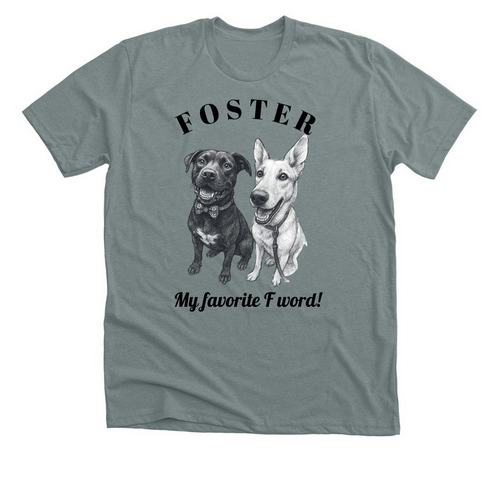 Foster- My Favorite F Word, a Heather Blue Storm Premium Unisex Tee