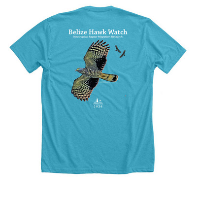 Belize Hawk Watch 2026, a Heather Aqua Premium Unisex Tee