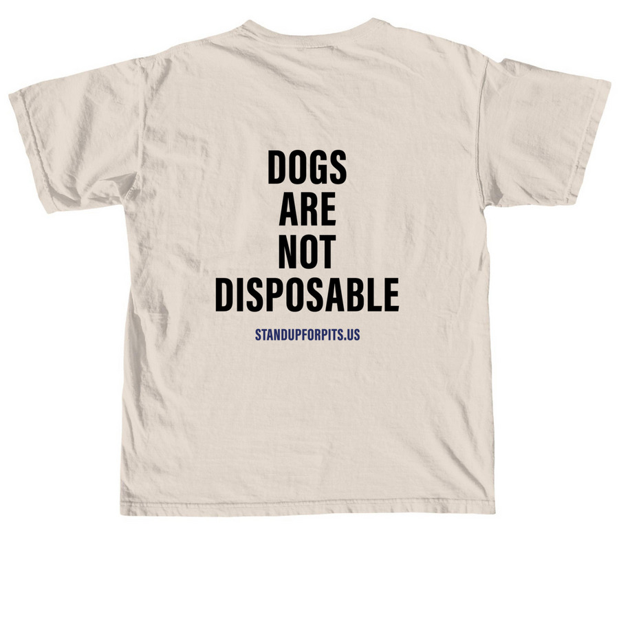 END DISCRIMINATION - SALLY & TODD, a Ivory Comfort Colors Unisex Tee (back-view)
