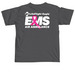 LFE 2026 Breast Cancer Awareness (EMS)&nbsp;, a Pepper Comfort Colors Unisex Tee (back-view)