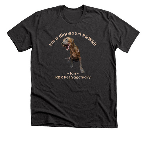 Ian the Dinosaur!, a Dark Grey Heather Premium Unisex Tee