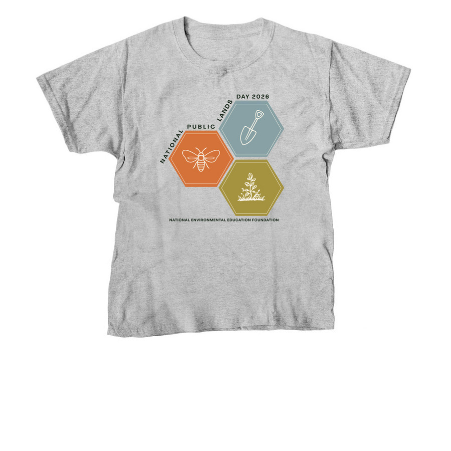 Honeycomb Trio&nbsp;, a Sport Grey Youth Unisex Tee